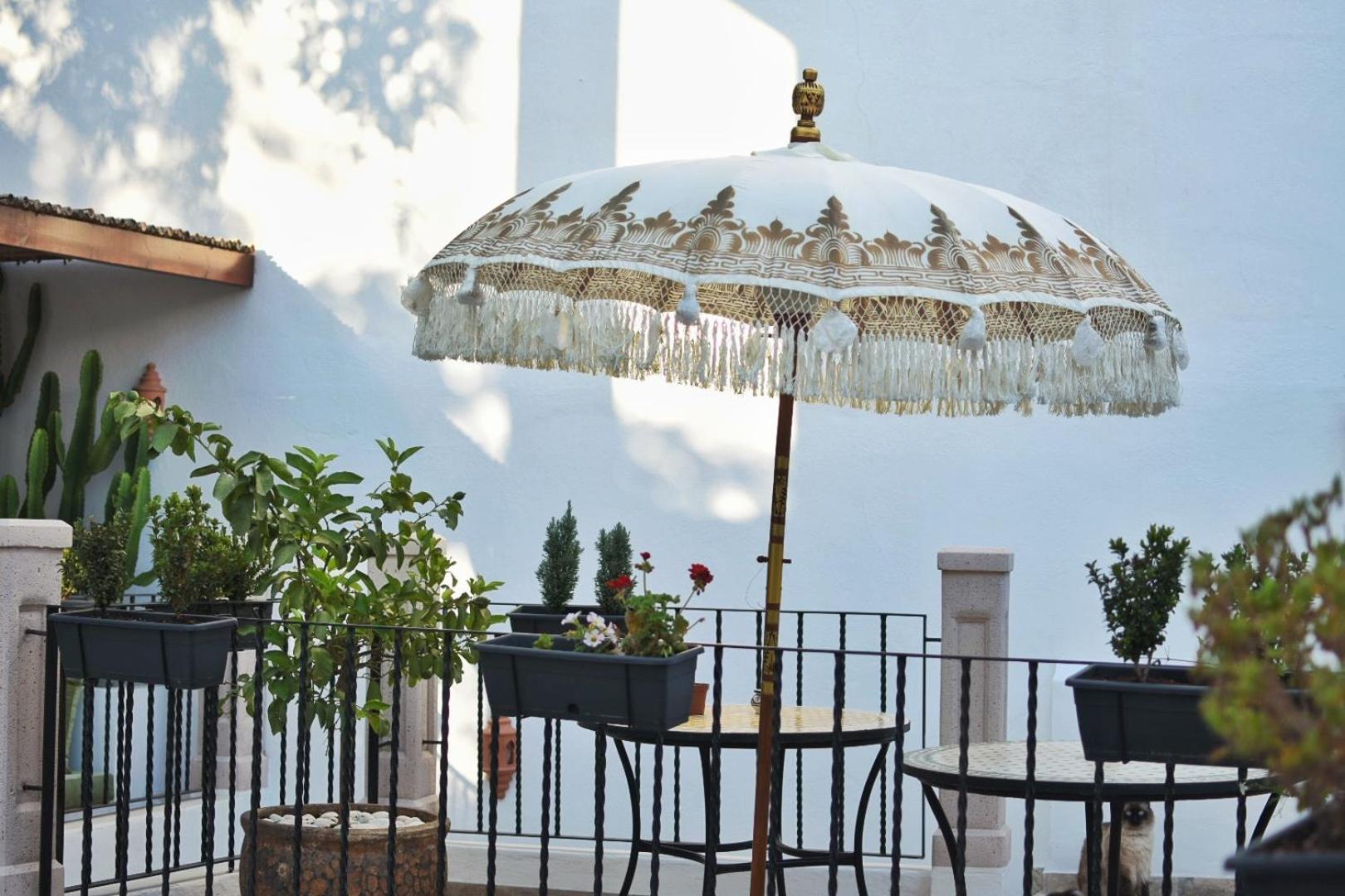 La Casa De Mama