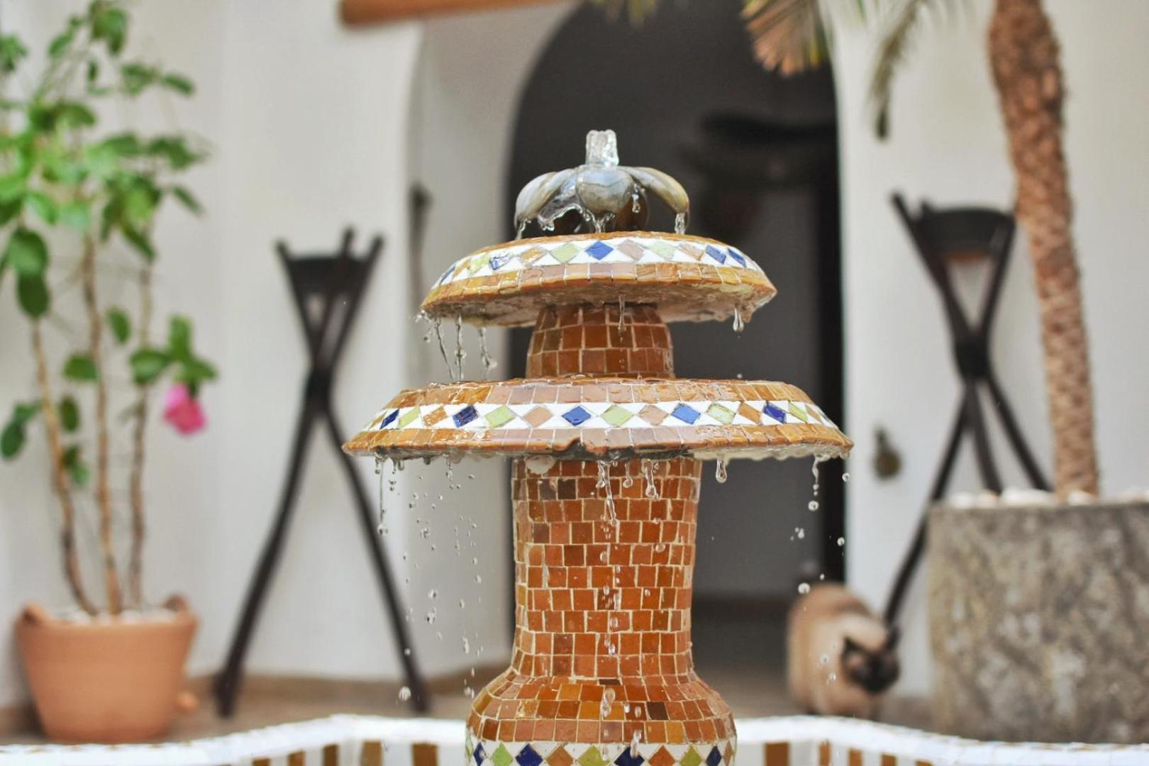 La Casa De Mama Riad